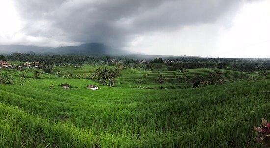 Bali See Tour