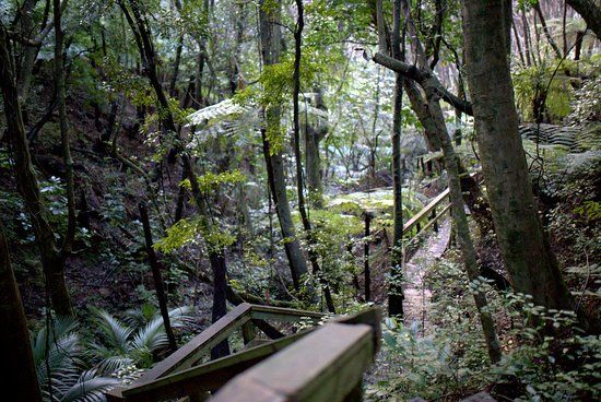 Glenfern Sanctuary