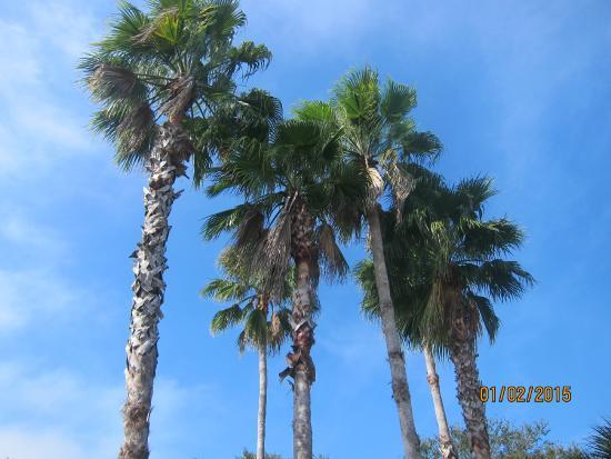 Chief Chic-A-Si Park