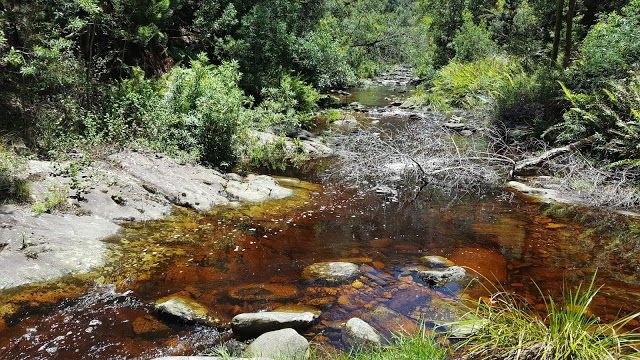 Jubilee Creek Nature Reserve