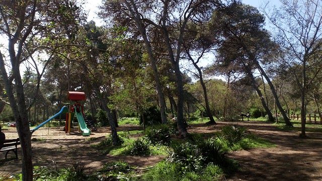 Forest Harhoura