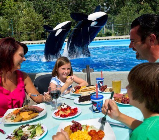 Shamu Rocks Dinner Buffet