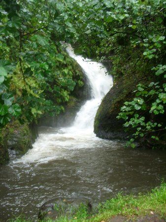 Wigmore's Waterfall