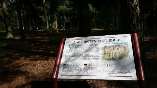 Labyrint