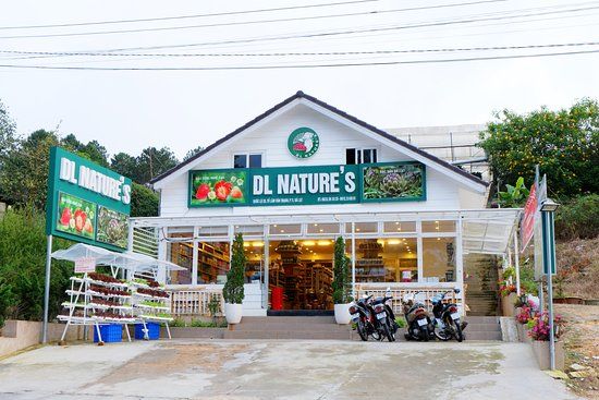 DL Nature