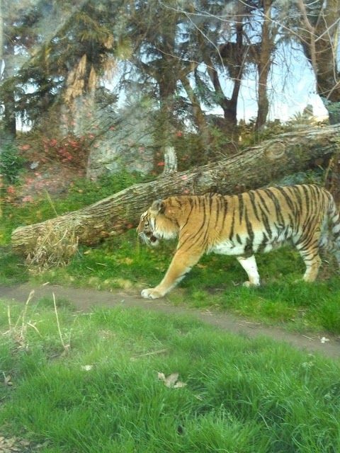 Roms Biopark