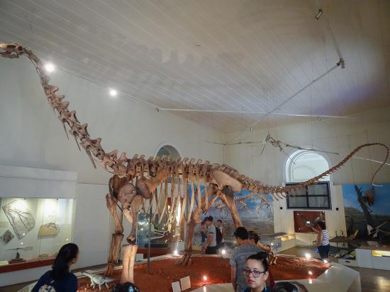 Museu Nacional da Universidade Federal do Rio de Janeiro Brazil