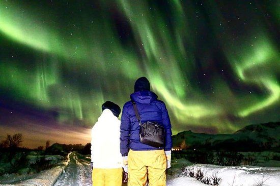Lofoten Lights