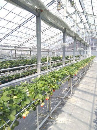 Takanashi Farm