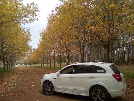 Margaret River Passenger Transport