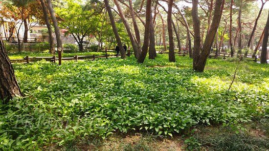 Solbat Neighborhood Park
