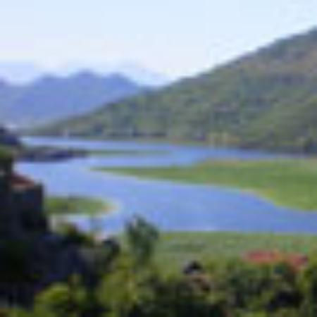 Sawadee Thai Cuisine