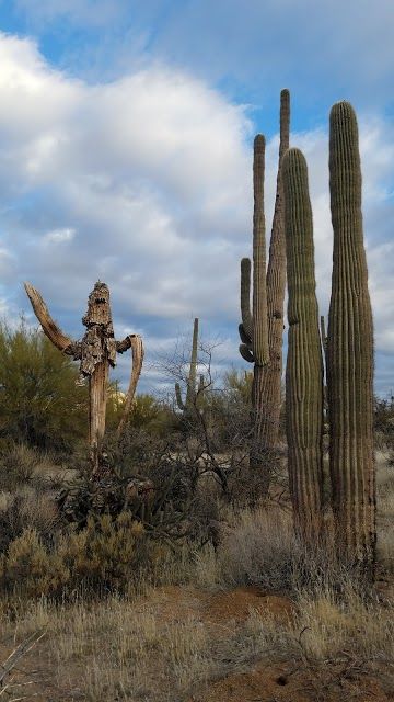 Granite Mountain Trailhead