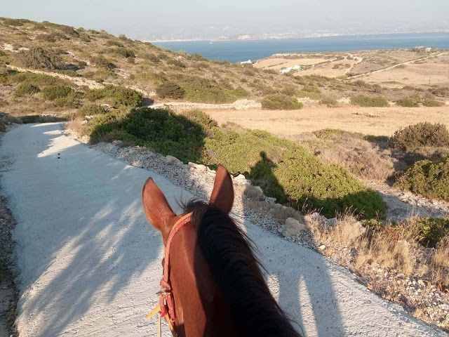 Paros Horse Riding Center