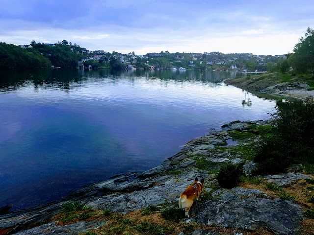 Kyrkjetangen Beach
