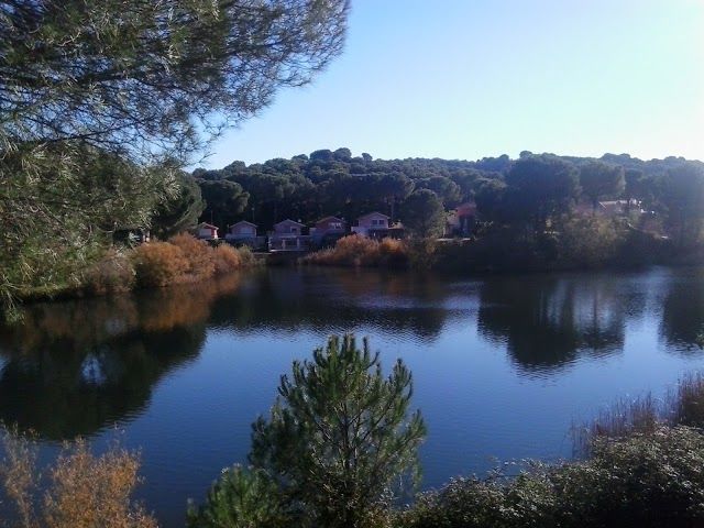 Las Jaras