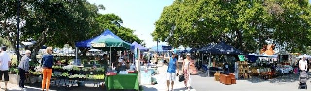 Manly Creative Market