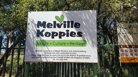 Melville Koppies Nature Reserve