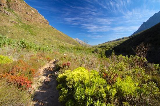 Jonkershoek Nature Reserve