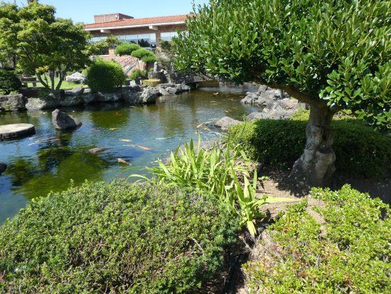 Spirited Garden