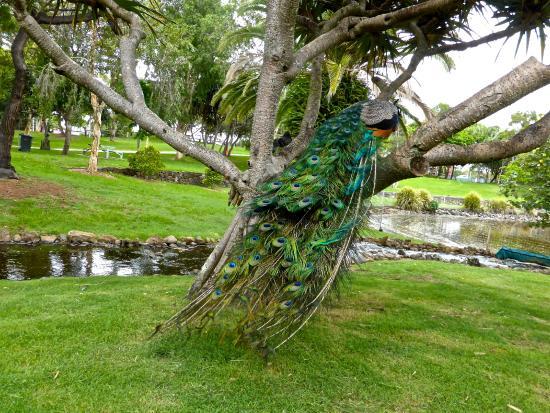 Les Rodgers Memorial Park