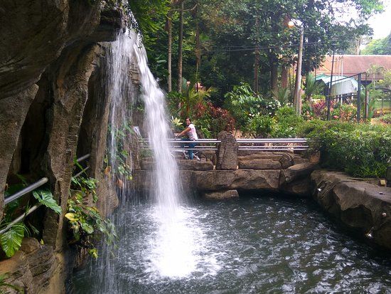 Ayer Keroh Recreational Forest