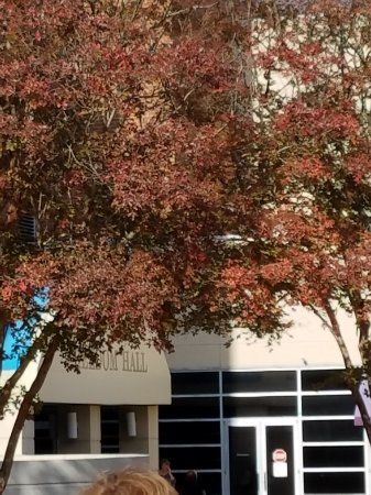 The Park Expo & Konferenzzentrum