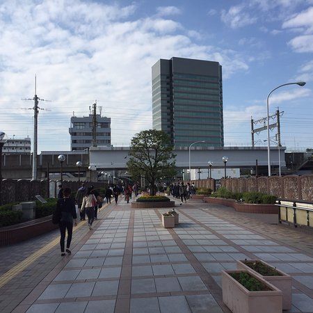 Tabata Bridge
