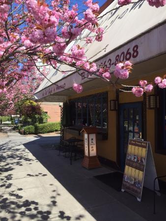 Shota Sushi & Grill