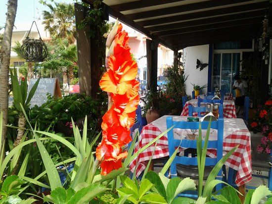 Angelica's Beach Bar & Restaurant