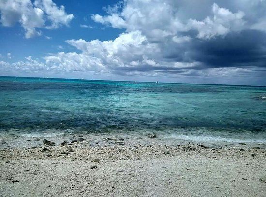 Lady Musgrave Island