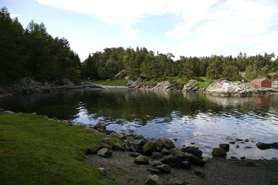 Gronevika