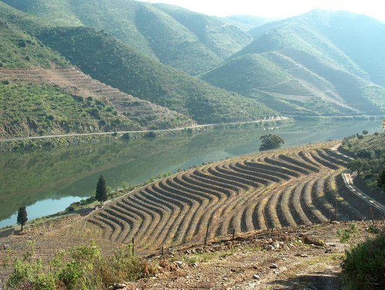 The Douro River