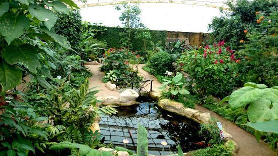 Benalmadena sommerfuglpark