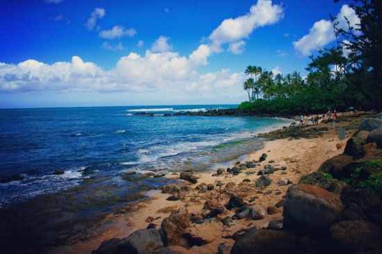 Laniakea Beach
