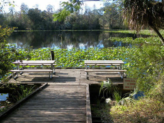 Al Lopez Park