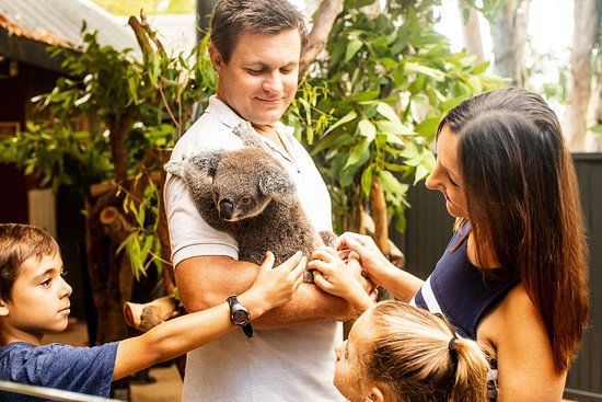 Hamilton Island Wildlife