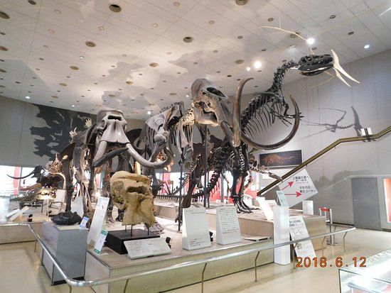 Naturhistorisches Museum