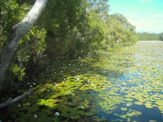 Keating's Lagoon