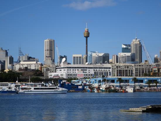 Glebe