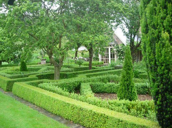 Frensham Gardens