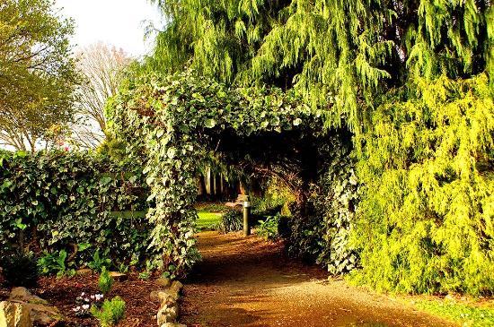 Edmond's Factory Garden