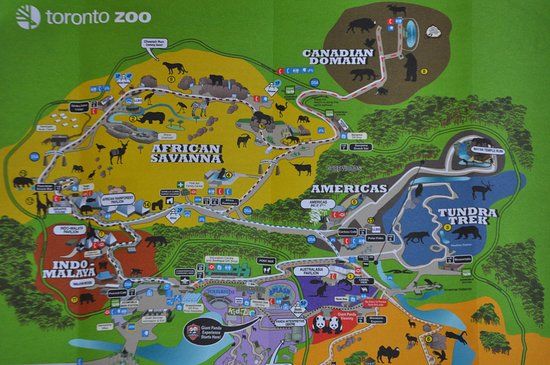 Zoo de Toronto