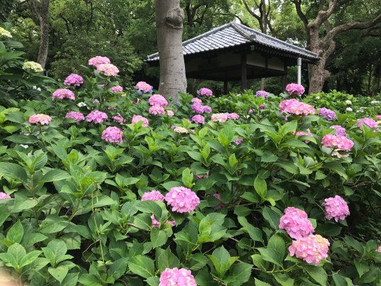 Schrein Fujinomori Jinja