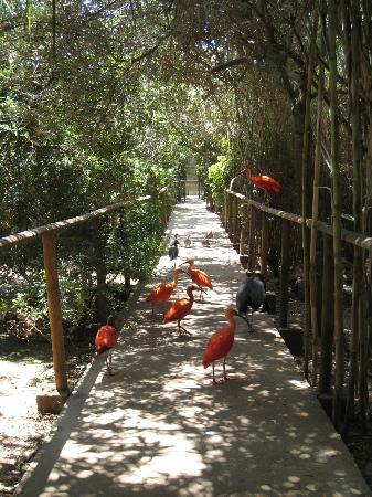 Zoo Natura Parc