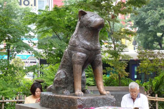 la estatua de Hachikō