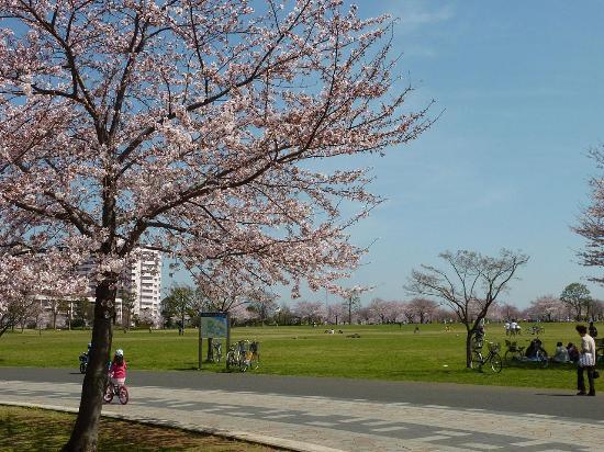 Parc Ojima Komatsugawa