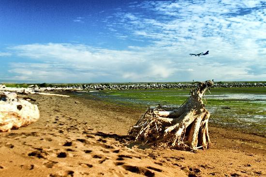 Iona Beach Regional Park