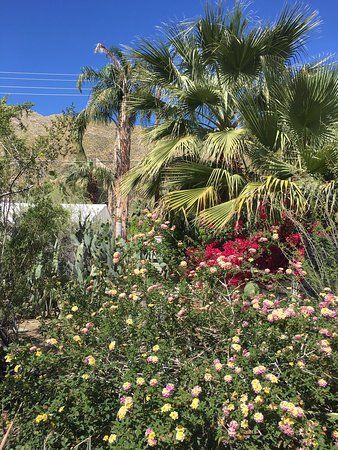 Jardín Botánico Moorten y Cactarium