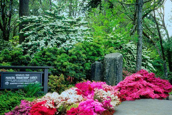 Hendricks Park